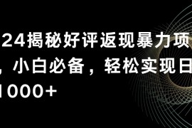 2024揭秘好评返现暴力项目，小白必备，轻松实现日入1000 