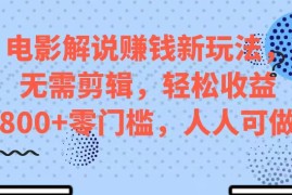 电影解说赚钱新玩法，无需剪辑，轻松收益 800  零门槛，人人可做