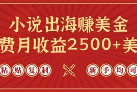 （9765期）小说出海赚美金，稿费月收益2500 美金，仅需chatgpt粘贴复制，新手也能玩转
