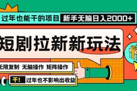 （13656期）过年也能干的项目，2024年底最新短剧拉新新玩法，批量无脑操作日入2000 ！