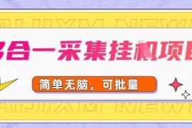 多合一采集项目，无脑操作，简单批量