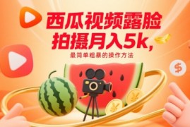 西瓜视频露脸拍摄月入5k，最简单粗暴的操作方法