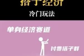 靠搭子经济月入5万每天两小时简单无脑好上手
