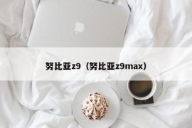 努比亚z9（努比亚z9max）