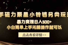 （9689期）快手磁力聚星小铃铛另类玩法，暴力变现日入500 小白简单上手无脑操作就可以