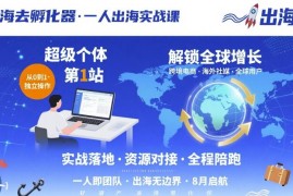 出海去孵化器，一人出海实战课，超级个体第1站，解锁全球增长