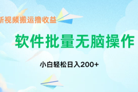 中视频搬运玩法，单日200 无需剪辑，新手小白也能玩