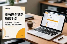 亚马逊全链路操盘手课，从0到1体系、11大模块、实战复盘，独立运营多店铺