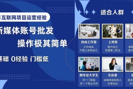 自媒体账号批发，看我怎么一天赚1个W