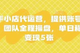 快手小店代运营，提供账号即可，团队全程操盘，单日稳定变现5张【揭秘】