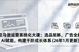 亚马逊运营系统化大课：选品矩阵，广告全解，AI赋能，构建千阶成长体系(26年1月更新
