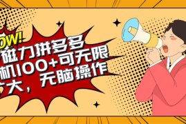 （10199期）2024最新玩法，磁力单机100 ，无脑操作，可无限扩大。别再错失机会了!!!