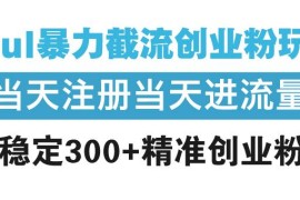 （13935期）Soul暴力截流创业粉玩法，当天注册当天进流量，日稳定300 精准创业粉丝