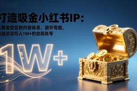 打造吸金小红书IP：从黄金定位到内容体系，避开弯路，快速启动月入1W 的变现账号
