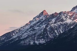 远望手机网(手机里的望远如何使用)