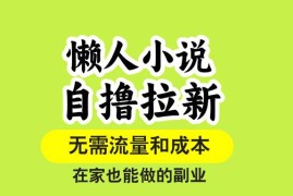 （15757期）懒人小说自撸拉新，无需流量，一个账号一条作品就可以打爆收益，在家也…