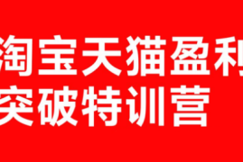 玺承·淘宝天猫盈利突破特训营(25年12月线下课)【音频 字幕】