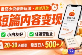 番茄小说最新短篇玩法，稳定日入500 ！副业必看，小白可玩，限时开放【揭秘】