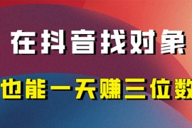 年底必做的项目，在抖音找对象还能日入三位数，保姆级项目拆解