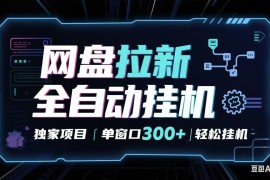 网盘全自动拉新掘金 独家项目 长期稳定 单窗口日入300  可矩阵！！！