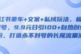小红书豪车 文案 私域玩法，极速起号，9.9元日引100 自热创业粉，打造永不封号的长尾流量池