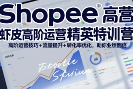 Shopee虾皮高阶运营精英特训营，高阶运营技巧 流量提升 转化率优化，助你业绩翻倍(更新26年9月)