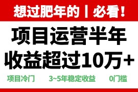 （13663期）年前过肥年的必看的超冷门项目，半年收益超过10万 ，