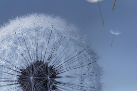 三星i9308(三星i9308 安卓43rom包)