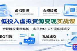 低投入虚拟资源变现实战课：合规版权类目解析，多平台SEO引流私域成交