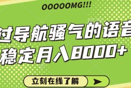 骚气的导航语音包，自用的同时还可以作为项目操作，月入8000 