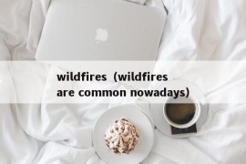 wildfires（wildfires are common nowadays）