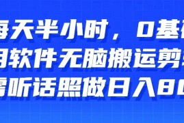 每天半小时，0基础用软件无脑搬运剪辑，只需听话照做日入800 