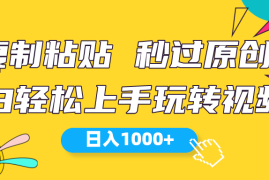 （10328期）视频号新玩法 小白可上手 日入1000 