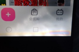 p10plus(p10plus上市时间和价格)