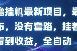 零撸最新项目，最新发布，没有套路，挂着就能看到收益，全自动