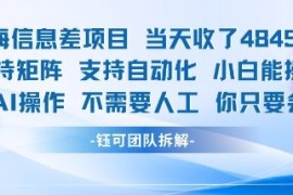 蓝海信息差项目当天收米1k  支持矩阵支持自动化小白能操作全程AI操作不需要人工你只要会电脑
