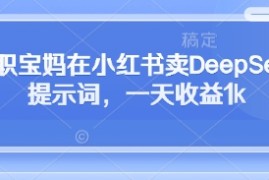 全职宝妈在小红书卖DeepSeek提示词，一天收益1k