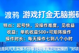 （13501期）韩国知名游戏打金无脑搬砖单机收益500 