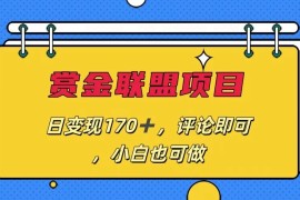 赏金联盟项目，日变现170 ，评论即可，小白也可做