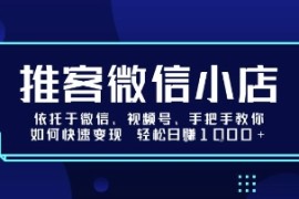 推客微信小店依托于微信、视频号，手把手教你如何快速变现 轻松日入1k 【揭秘】