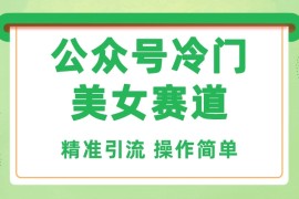 公众号冷门美女赛道，精准引流，操作简单，每天几小时轻松日入1000 