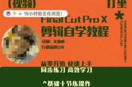 轻松玩转剪辑系统课，从零开始快速上手，同步练习高效学习，思维提升从简到难