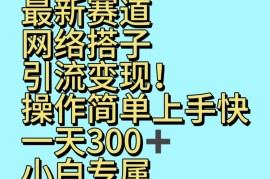 最新赛道网络搭子引流变现!!操作简单上手快，一天300 ，小白专属