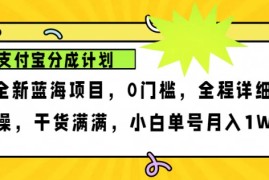 2024年下半年新风口，支付宝分成计划项目玩法，轻松月入1w 