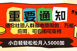 社恐小白，电商应用项目，可自用可变现，轻轻松松变现，一个月5000 