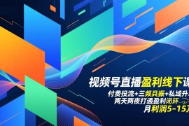 视频号直播盈利线下课：付费投流 三频共振 私域升单，两天两夜打通盈利闭环，月利润5-15万
