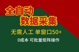 全自动数据采集项目，无需人工，单窗口可达50 收益，操作简单无难度，一个人也能轻松实现矩阵【揭秘】