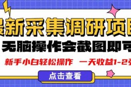 （16155期）新版采集调研项目，截图上传即可，无脑操作，日收益1-2张