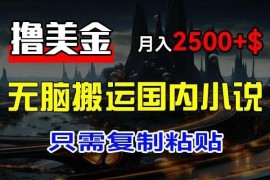 最新撸美金项目：搬运国内小说爽文，只需复制粘贴，月入2000＋美金