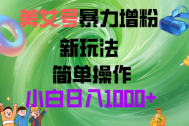 美女号暴力增粉，新玩法   操作简单   小白日入1000 
